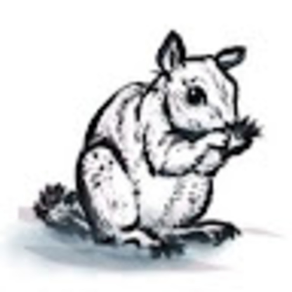 Meet your Posher, Stubby